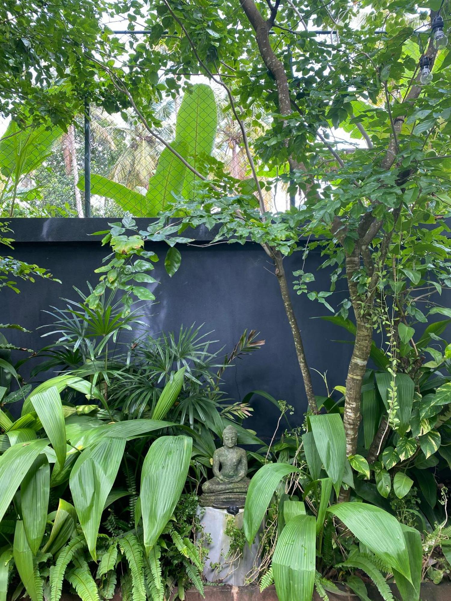 Lush Ayu Villa Ja-Ela Kültér fotó